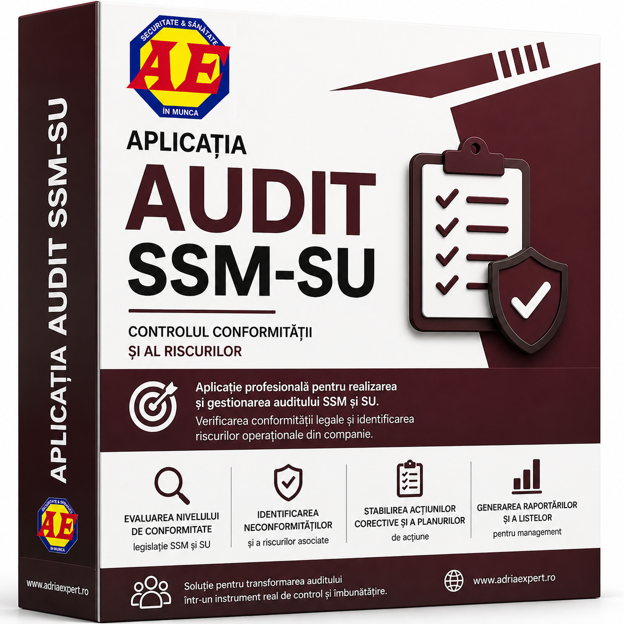 aplicatie ssm audit ssm